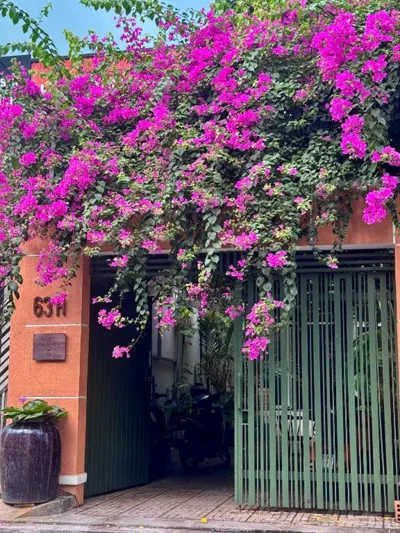 Notre Maison 5 Saigon close Walking street in Thao Dien D2 – Fotos 11